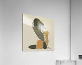 Abstract Form Study 29H8N 45 Acrylic Print