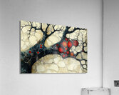 Arterial Bloom ZH329N 55 Acrylic Print