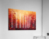 Autumn Embrace Y29HNP 62 Acrylic Print