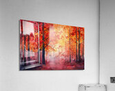 Autumn Forest Glow H2N9P4 57 Acrylic Print