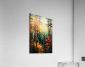 Autumn Forest Glow H2N9P2 58 Acrylic Print
