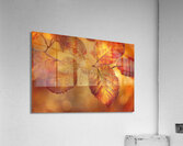 Autumn Leaves Glowing Y59H7N 45 Acrylic Print