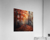 Autumn Mist Pathway H2N9P4 55 Acrylic Print