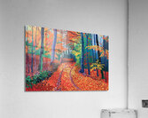 Autumn Path NZ92C3 55 Acrylic Print