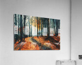 Autumnal Reverie H729P4 45 Acrylic Print