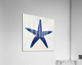 Azure Star 7H29NP 45 Acrylic Print