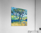 Azure Tree Reverie H2N9P2 57 Acrylic Print