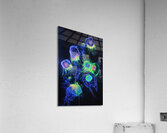Bioluminescent Bloom 78HNP2 62   Copy Acrylic Print