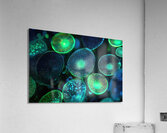 Bioluminescent Forms 7P3H9N 55   Copy Acrylic Print