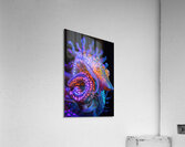 Bioluminescent Seahorse 92D3H7 69 Acrylic Print