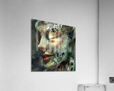 Biomorphic Reverie N92H7J 62 Acrylic Print