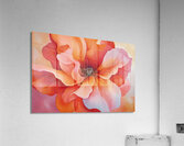 Blooming Coral Heart 2Y9P3H 53 Acrylic Print