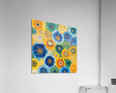 Blooming Cosmos 79B2D3 60 Acrylic Print