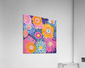 Blooming Cosmos 79HNPZ 57 Acrylic Print