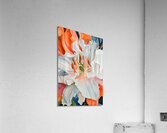 Blooming Heart Of Coral 2H9N3Z 64 Acrylic Print