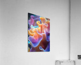 Chromatic Coral Rhapsody H29NJP 62 Acrylic Print