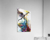 Chromatic Dance Fusion 8H3N2Z 63 Acrylic Print