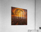 Celestial Cornfield HZ92N3 60 Acrylic Print