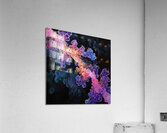 Cellular Harmony ZX49CV 58 Acrylic Print