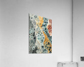 Cellular Flow 9P3N4Z 48 Acrylic Print