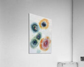 Cellular Echoes ZH92N5 55 Acrylic Print