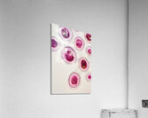 Cellular Harmony 249CPZ 47 Acrylic Print