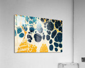 Cellular Fusion ZH92N4 48 Acrylic Print