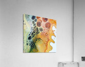 Cellular Flow 9P3N2H 47 Acrylic Print