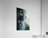Cellular Echoes KH29N4 55 Acrylic Print