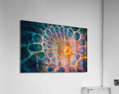 Cellular Genesis H3N2D9 55 Acrylic Print