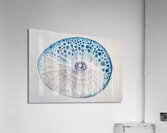 Cellular Echoes H9P4N2 50 Acrylic Print