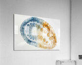 Cellular Harmony 9P3N2H 47 Acrylic Print