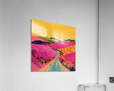 Chromatic Journey VZ92PN 60 Acrylic Print