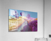 Chromatic Pathways 2H9N3Z 62 Acrylic Print