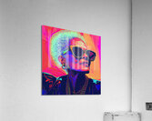 Chromatic Radiance 2P3H9N 60 Acrylic Print