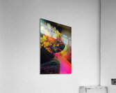 Chromatic Tree Path 9H3N2Z 60 Acrylic Print