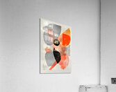 Coral Eclipse Y59H2N 47 Acrylic Print