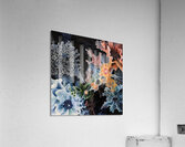 Cosmic Bloom Genesis H2N9P 62 Acrylic Print