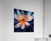 Cosmic Bloom NZ9H2P 58 Acrylic Print