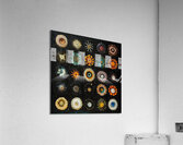 Cosmic Flora Study H2N9P2 55 Acrylic Print