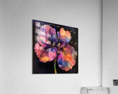 Cosmic Iris Bloom H92P3Z 65 Acrylic Print