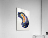 Cosmic Microcosm ZH92N3 47 Acrylic Print