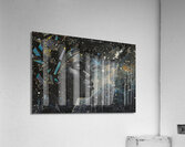 Cosmic Reflection 29HBNZ 60 Acrylic Print