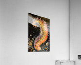 Cosmic Serpent Dance H29N3Z 62 Acrylic Print