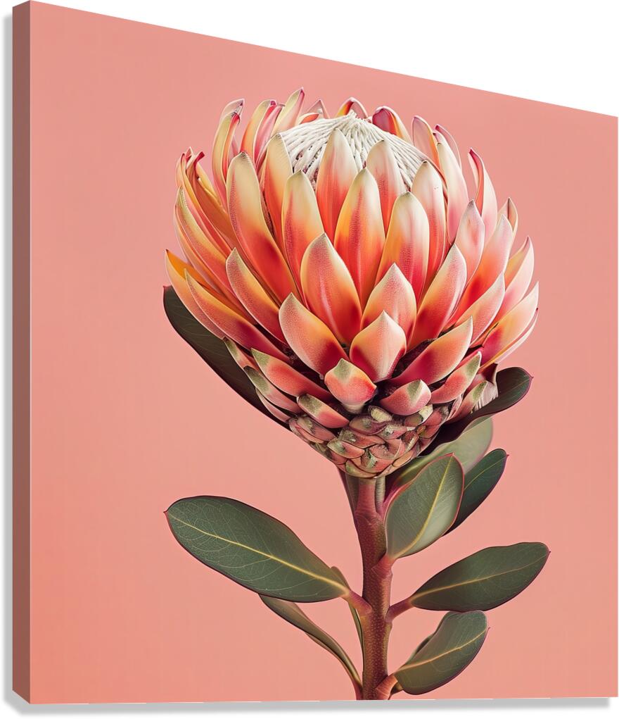 Blossom Radiance Canvas Print