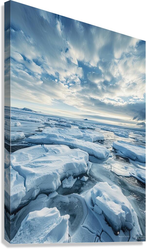 Arctic Symphony K829PN 58 Canvas Print