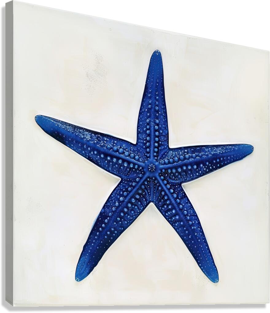 Azure Star 7H29NP 45 Canvas Print