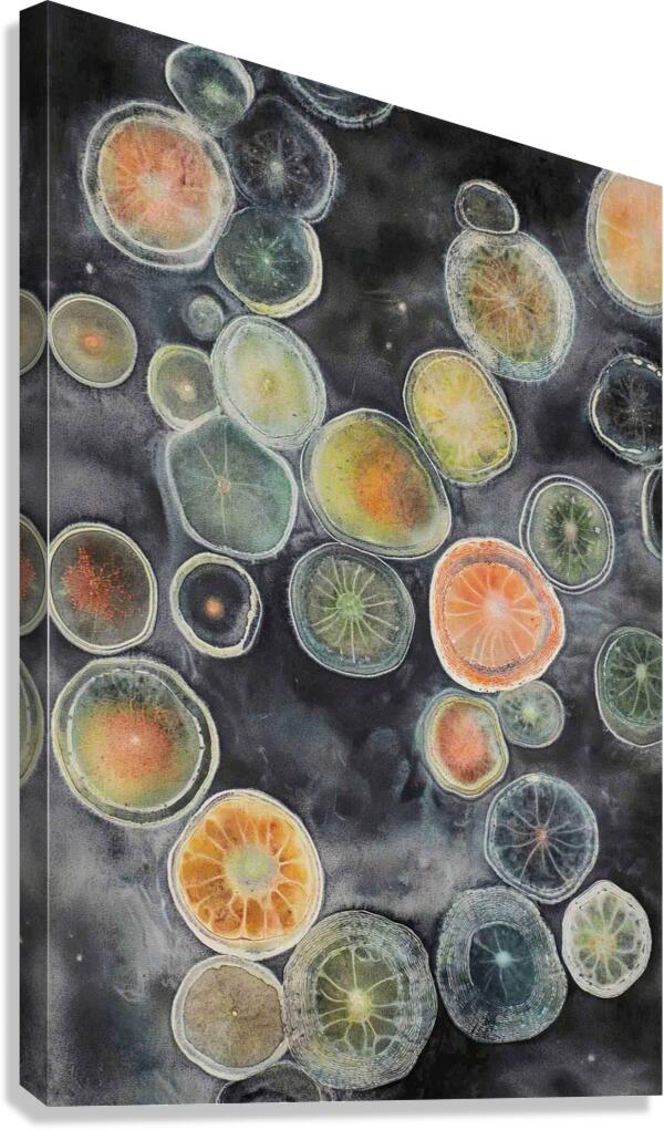 Cellular Echoes KH295B 55 Canvas Print