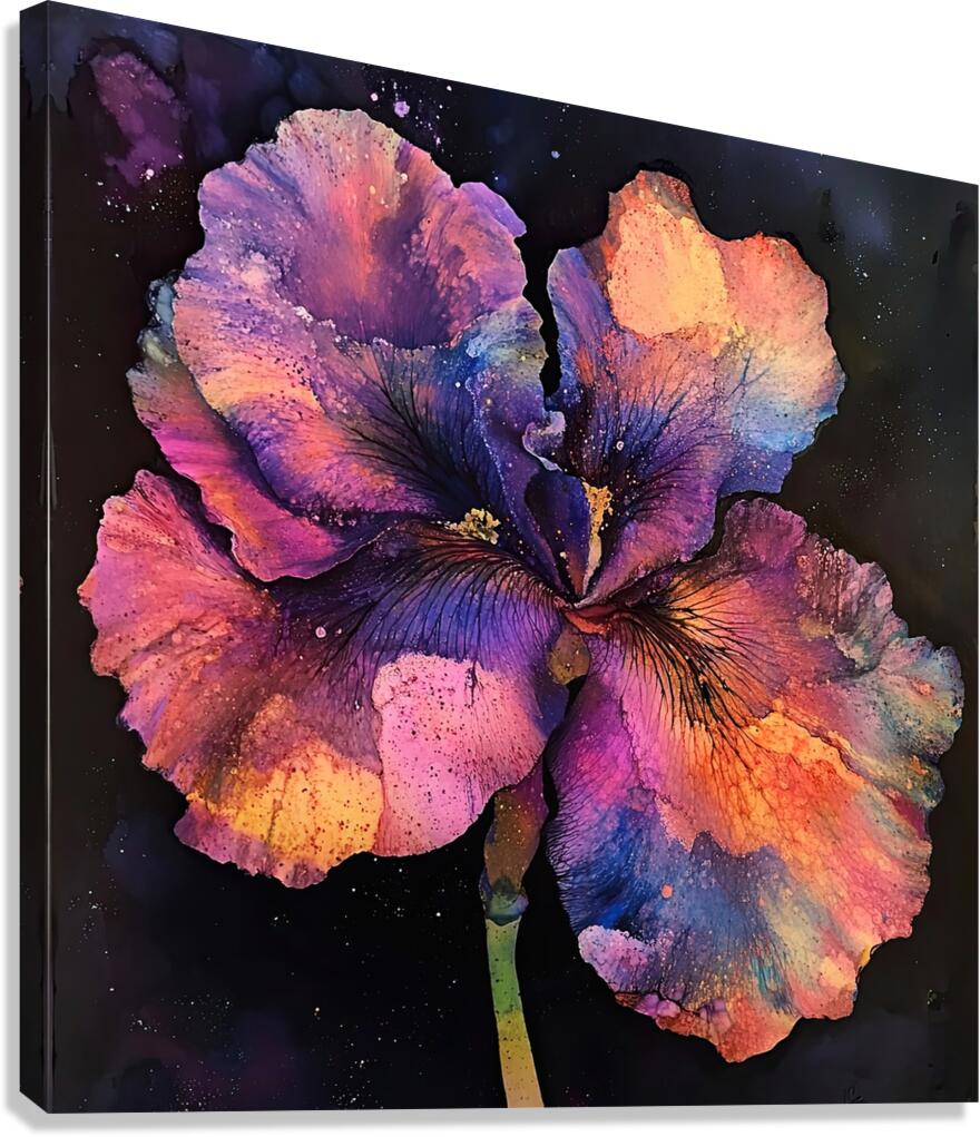 Cosmic Iris Bloom H92P3Z 65 Canvas Print