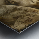 Vintage Allure Metal print